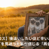 【ペットロス】後追いしたいほど辛いあなたへ。3匹のパグを見送った私が信じる「再会の約束」