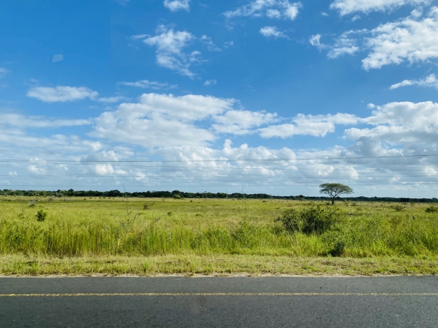 アフリカの風景