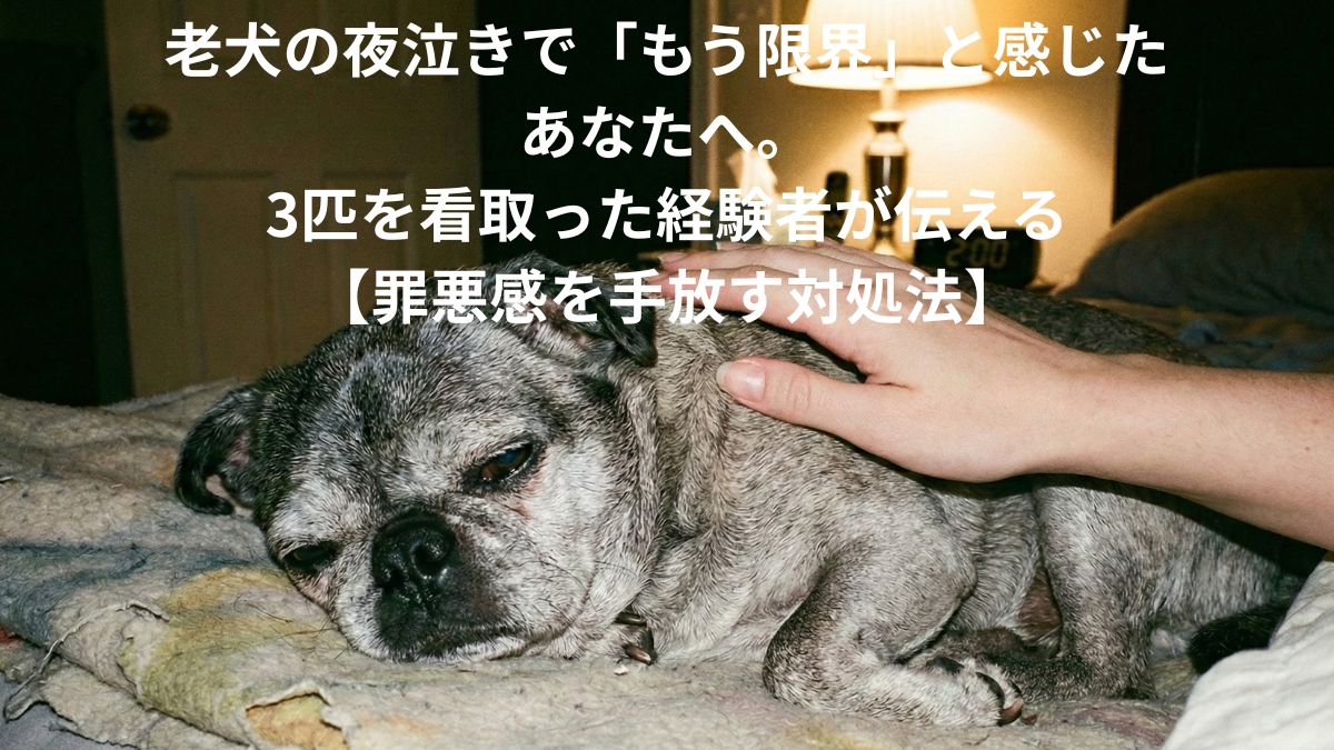 夜泣きをする老犬を優しくなでる様子